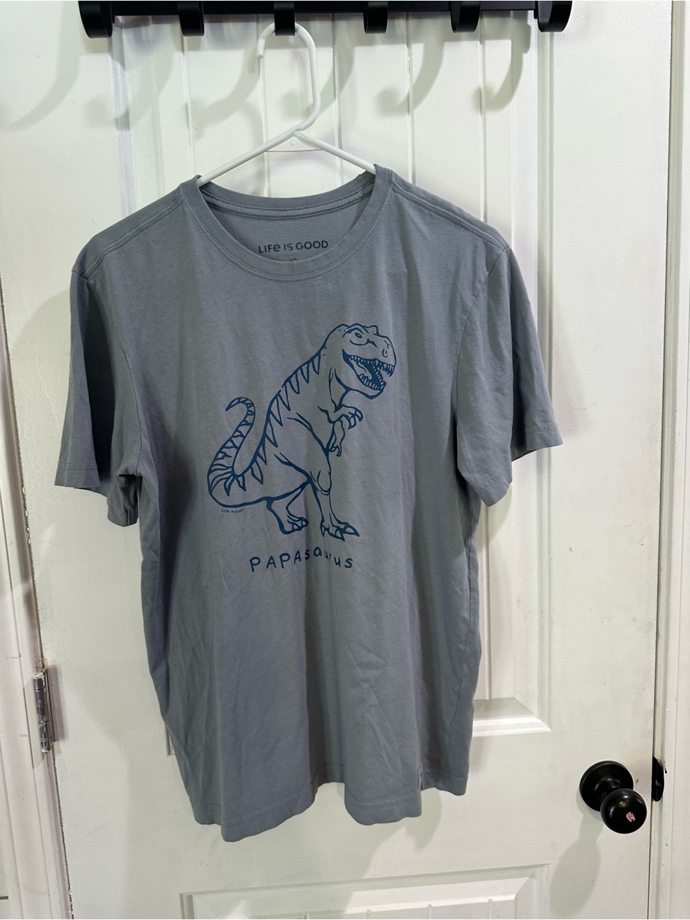 Life Is Good Gray Tee with Papasaurus Graphic